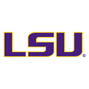 NFLBITE LSU Tigers Team